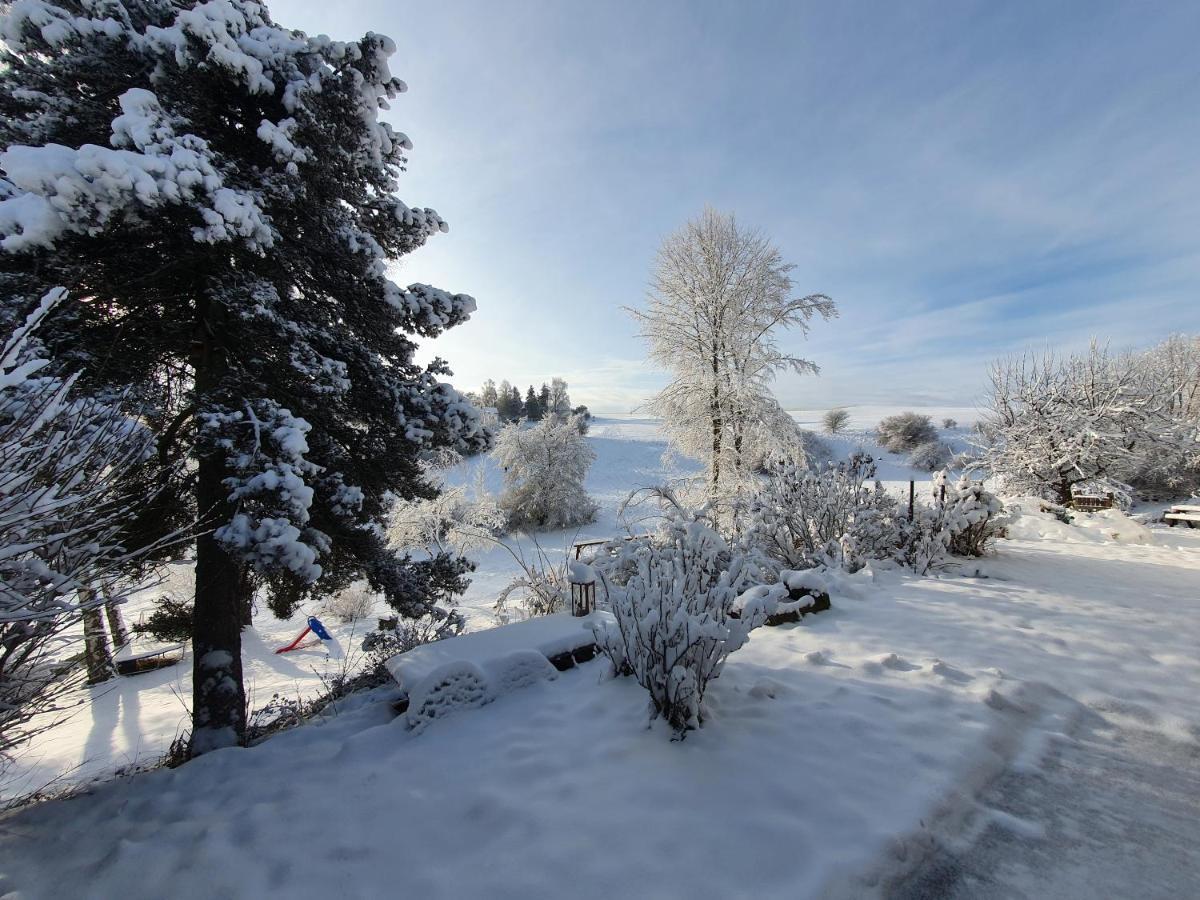 Quiet Business Flat Or Vacation Home In Bad Urach Eksteriør billede