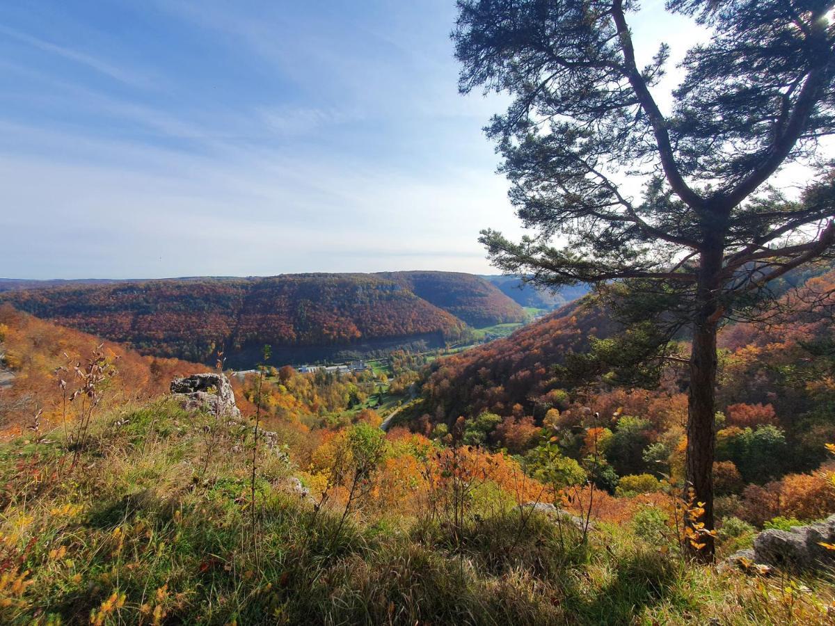 Quiet Business Flat Or Vacation Home In Bad Urach Eksteriør billede