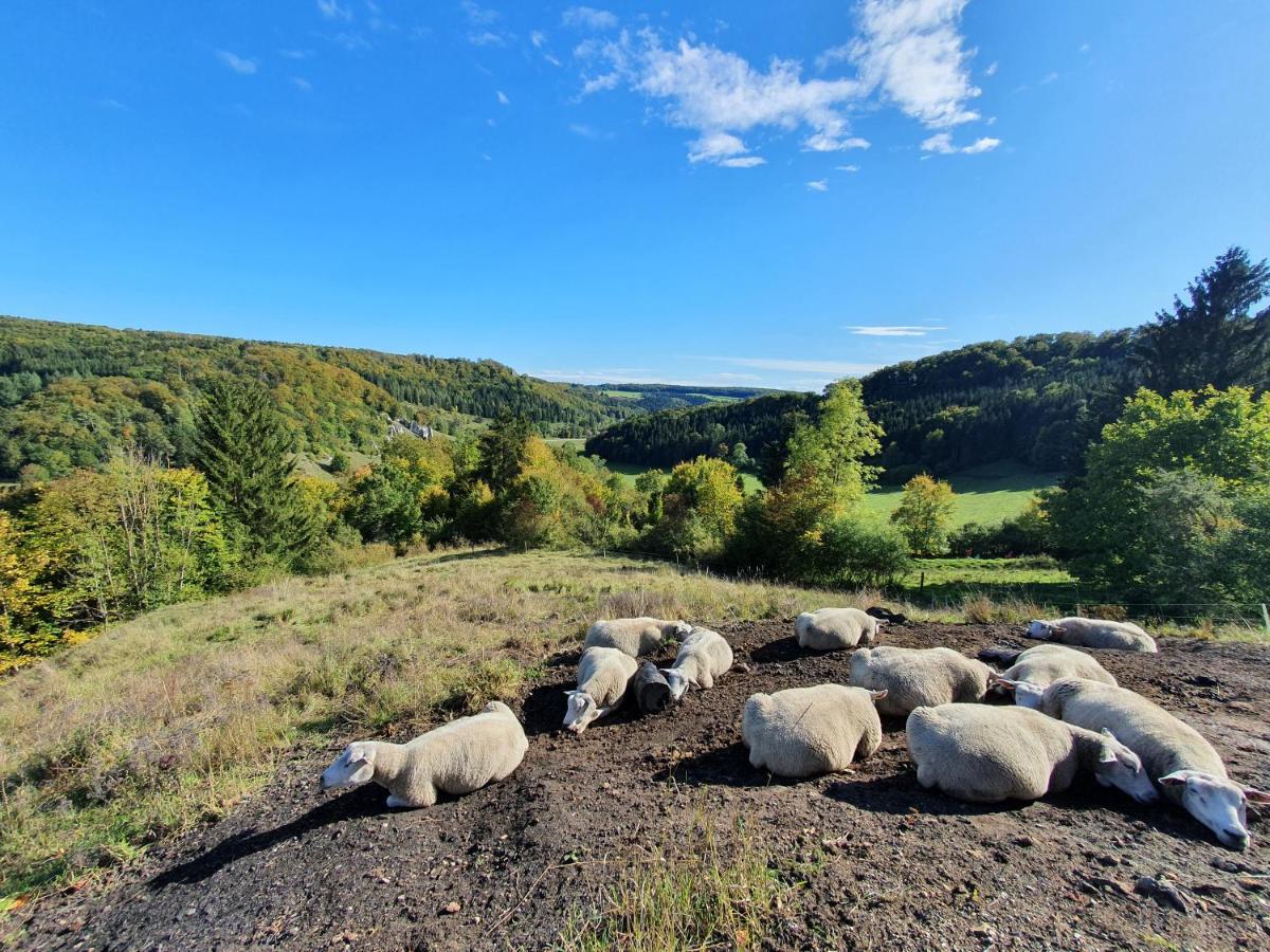 Quiet Business Flat Or Vacation Home In Bad Urach Eksteriør billede